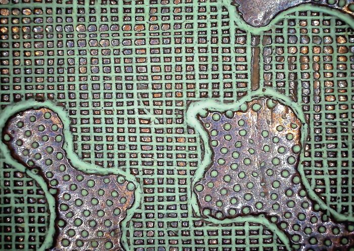 Microscopic image of Willow copperplate 2